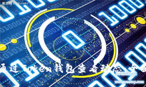 如何通过Token钱包查看动态：全面指南