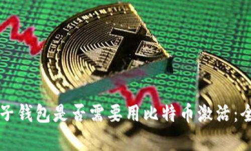 国外电子钱包是否需要用比特币激活：全面解析