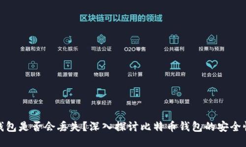 比特币钱包是否会丢失？深入探讨比特币钱包的安全性与风险