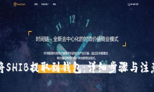 如何将SHIB提取到钱包：详细步骤与注意事项