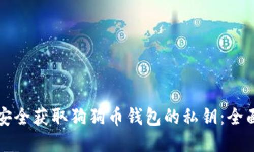 如何安全获取狗狗币钱包的私钥：全面指南