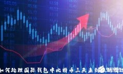 如何处理国际钱包中比特