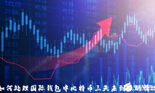 
如何处理国际钱包中比特币三天未到账的情况