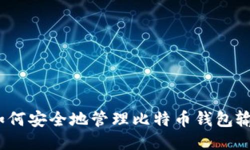 : 如何安全地管理比特币钱包输入？
