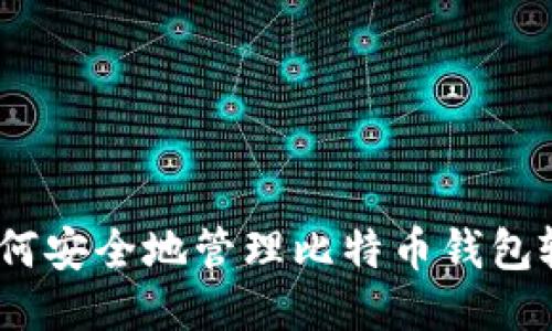 : 如何安全地管理比特币钱包输入？
