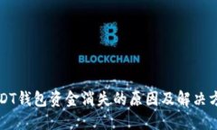 USDT钱包资金消失的原因及