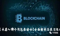 屎币存入哪个钱包最安全?全面解析及最佳选择