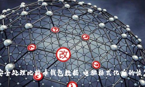 如何安全处理比特币钱包数据:电脑格式化后的恢复指南
