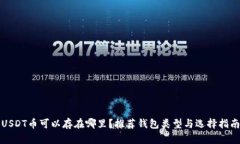 USDT币可以存在哪里?推荐钱包类型与选择指南