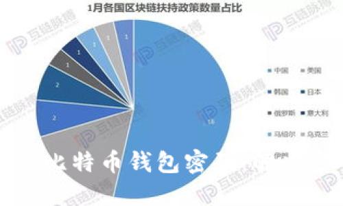 如何找回丢失的比特币钱包密码:解决方案与实用技巧