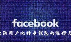 2023年大陆用户比特币钱包的选择与使用指南
