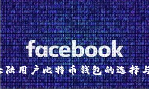 2023年大陆用户比特币钱包的选择与使用指南