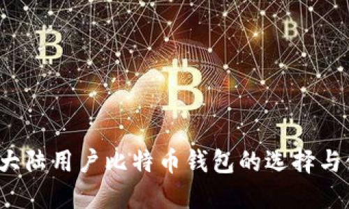 2023年大陆用户比特币钱包的选择与使用指南
