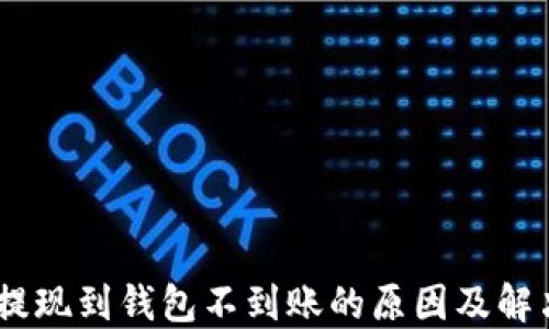 USDT提现到钱包不到账的原因及解决方案