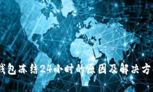 USDT钱包冻结24小时的原因及解决方案解析