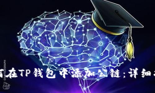 如何在TP钱包中添加公链:详细指南