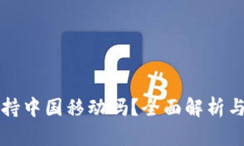 TP钱包支持中国移动吗?全面解析与使用指南