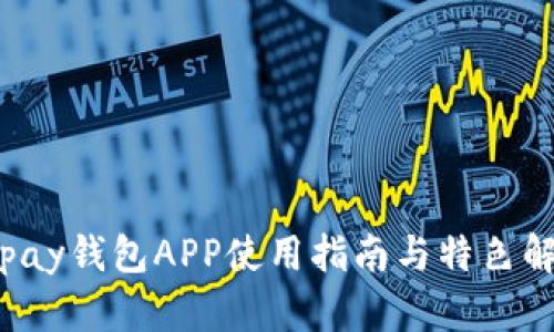 Topay钱包APP使用指南与特色解析