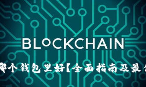 比特币放哪个钱包里好？全面指南及最佳选择推荐