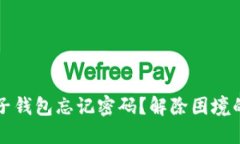 比特币电子钱包忘记密码？解除困境的终极指南