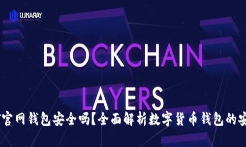 USDT官网钱包安全吗？全面解析数字货币钱包的安全性