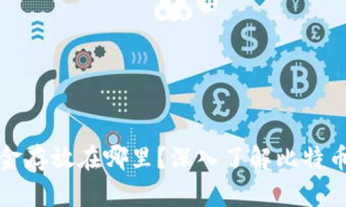 比特币钱包的资金存放在哪里？深入了解比特币如何存储与管理