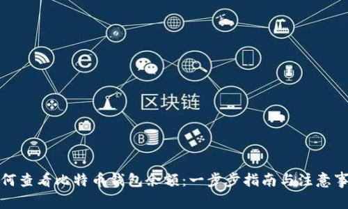 如何查看比特币钱包余额：一步步指南与注意事项